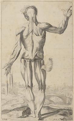 Andreas Vesalius - Obrazy