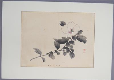 Kawabata GYOKUSHO - Bilder und Grafiken des 20.Jhdts