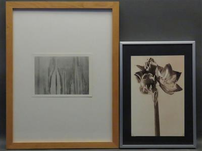 2 Fotografien a) Elisabeth Kraus - Bilder und Grafiken des 20. Jahrhunderts