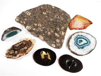 Sieben Querschnitte - Minerals and fossils