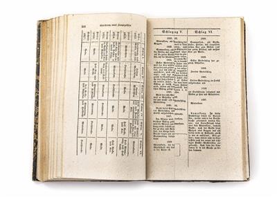 Peter Fleischman von Puntzelwitz, Beschreibung des Reichstages in Regensburg 1594 - Weihnachtsauktion - Silber, Porzellan, Teppiche