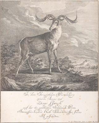 Johann Elias Ridinger - Vánoční aukce