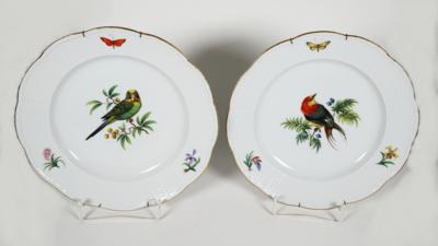 2 Speiseteller mit exotischer Vogelmalerei, Meissen, 1969 - Porzellan, Glas und Sammelgegenstände
