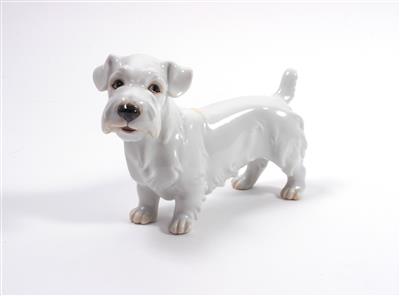 AUGARTEN Porzellanfigur "Sealyham-Terrier" - Kunst, Antiquitäten und Schmuck